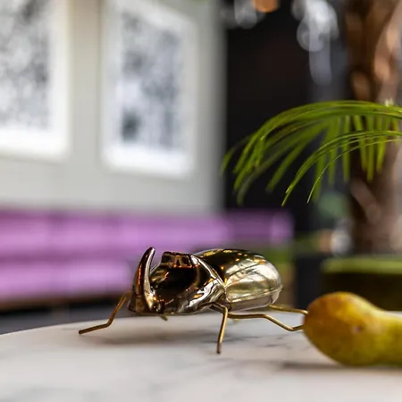 מלון Zoo By Afrykarium